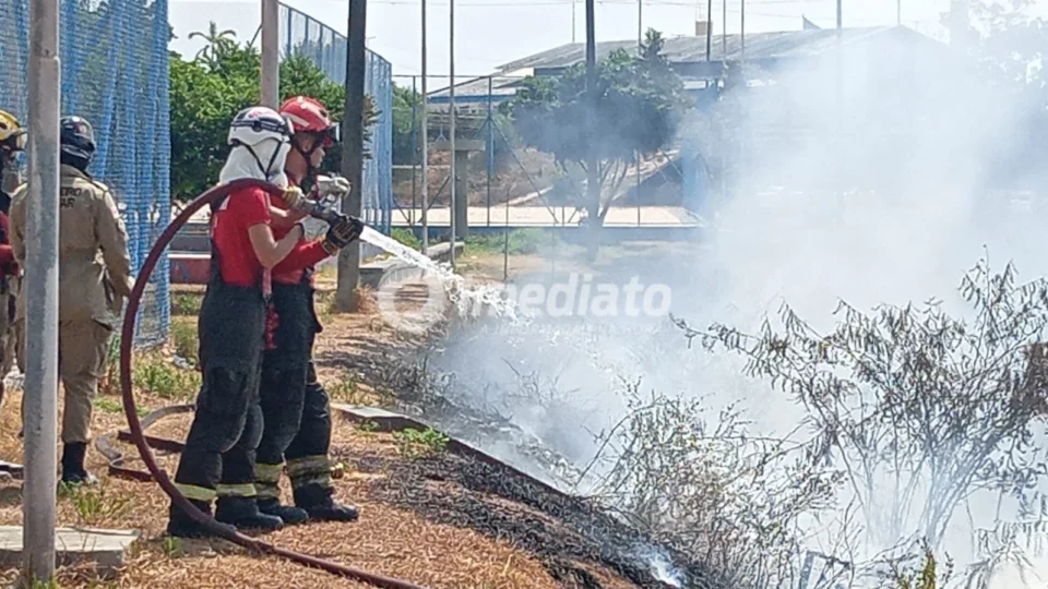 VEJA: Incêndio atinge área de vegetação no bairro Educandos, em Manaus