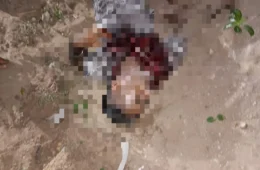 Homem é morto a facadas após discursão por bebida em bar de Boa Vista