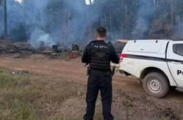 FOGO NA MATA: homem é preso suspeito de provocar incêndio em Porto Grande