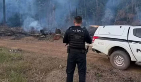 FOGO NA MATA: homem é preso suspeito de provocar incêndio em Porto Grande