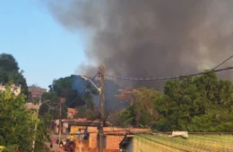 URGENTE | Incêndio destrói grande área de mata na Colônia Santo Antônio, em Manaus