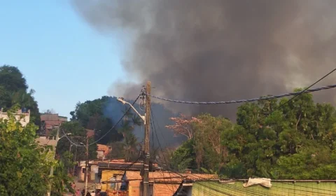 URGENTE | Incêndio destrói grande área de mata na Colônia Santo Antônio, em Manaus