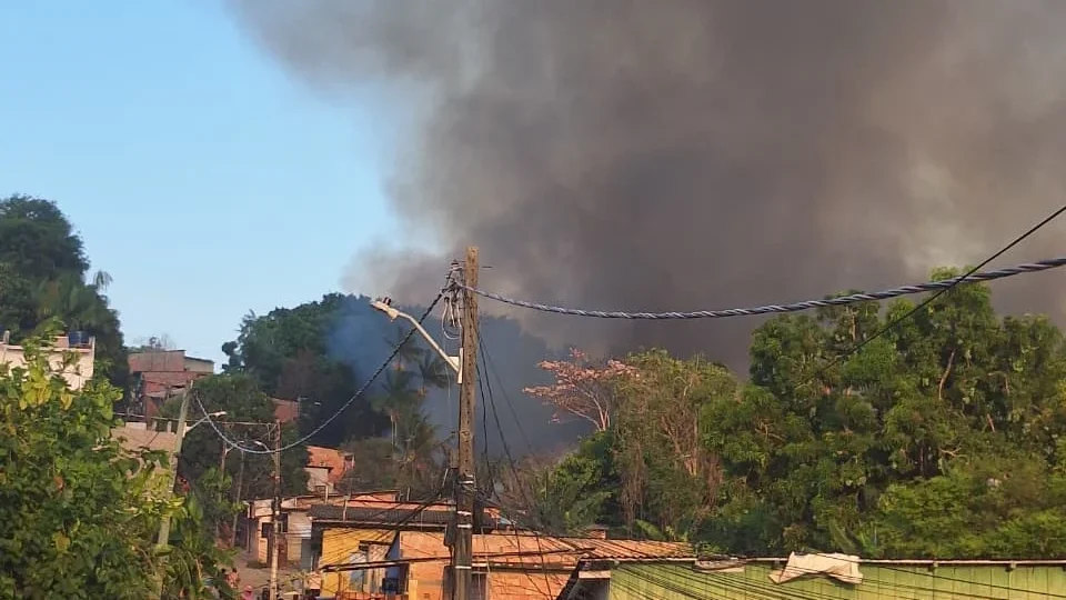 URGENTE | Incêndio destrói grande área de mata na Colônia Santo Antônio, em Manaus