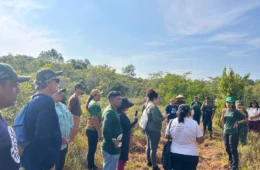Projetos apoiados pela Eneva no Amazonas já mobilizaram mais de 400 hectares para restauração da vegetação nativa