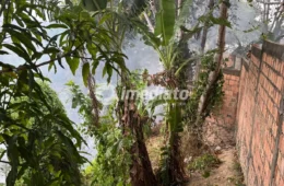 Incêndio atinge área de mata no bairro Nova Floresta, em Manaus