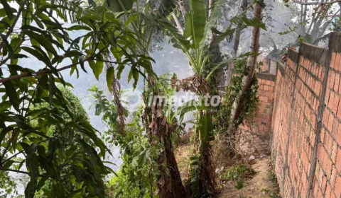 Incêndio atinge área de mata no bairro Nova Floresta, em Manaus