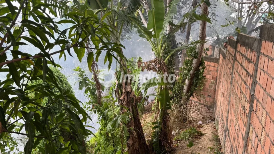 Incêndio atinge área de mata no bairro Nova Floresta, em Manaus