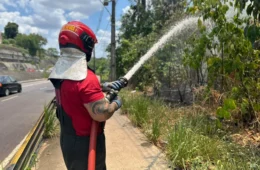 Incêndio atinge área de vegetação próxima à avenida das Torres, em Manaus