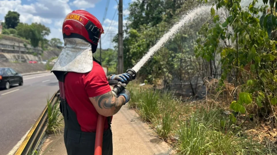 Incêndio atinge área de vegetação próxima à avenida das Torres, em Manaus