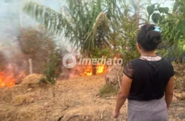 “Precisamos de socorro”: incêndio avança e ameaça casas na Comunidade Agrícola da Paz