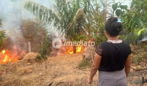 “Precisamos de socorro”: incêndio avança e ameaça casas na Comunidade Agrícola da Paz