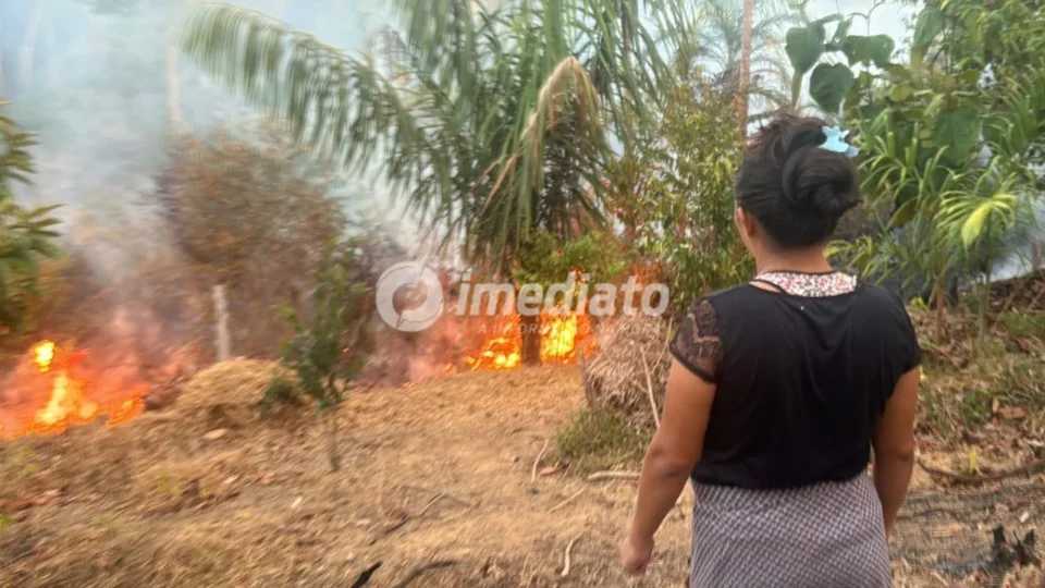 “Precisamos de socorro”: incêndio avança e ameaça casas na Comunidade Agrícola da Paz