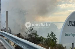 VEJA: Incêndio de grandes proporções atinge área de vegetação ao lado do Porto do São Raimundo, em Manaus