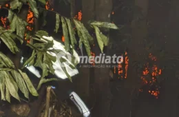 Incêndio atinge área de mata e mobiliza bombeiros no Santa Inês, em Manaus