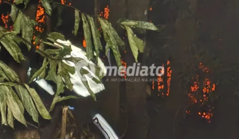 Incêndio atinge área de mata e mobiliza bombeiros no Santa Inês, em Manaus