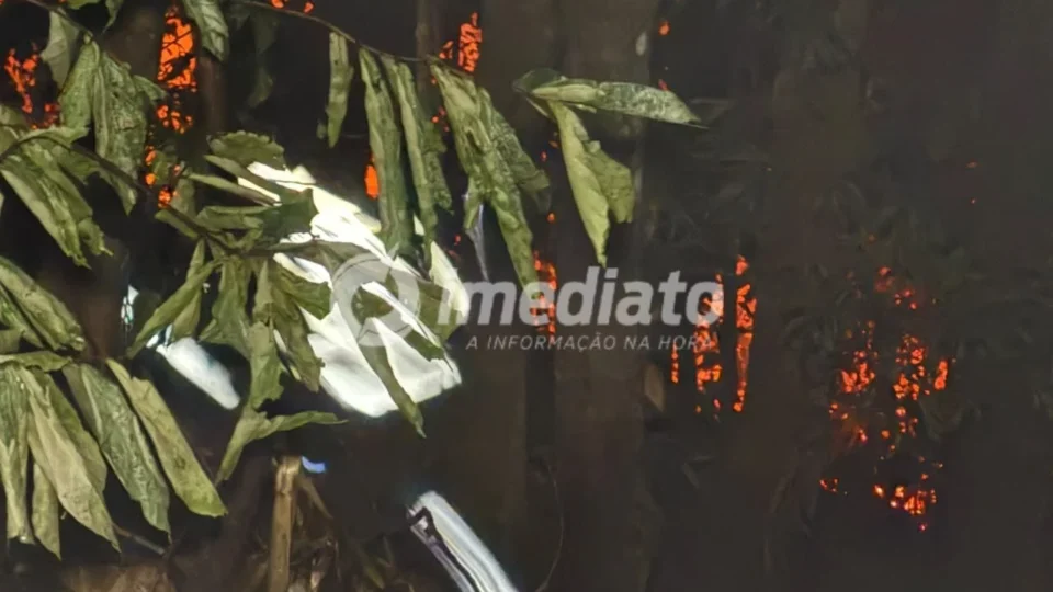 Incêndio atinge área de mata e mobiliza bombeiros no Santa Inês, em Manaus