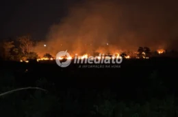 Fogo toma conta de área de mata e mobiliza força-tarefa em Iranduba