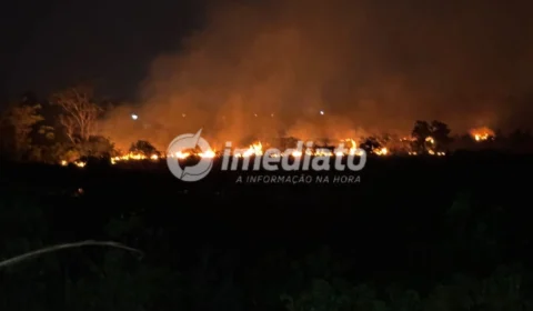 Fogo toma conta de área de mata e mobiliza força-tarefa em Iranduba
