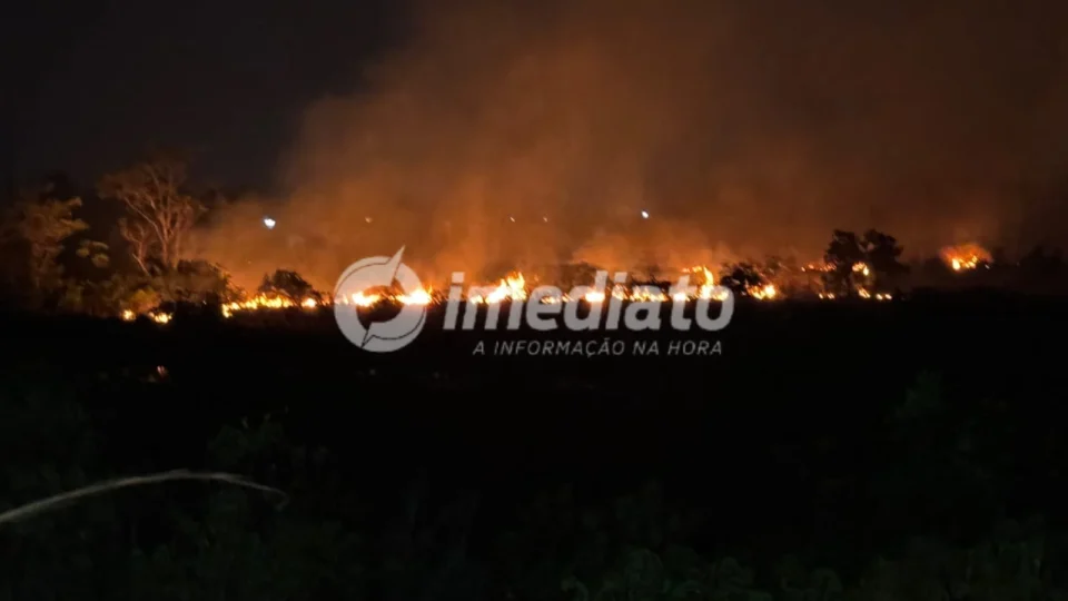 Fogo toma conta de área de mata e mobiliza força-tarefa em Iranduba