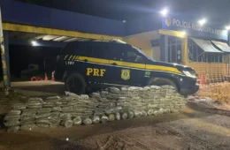 Supermaconha: 201 quilos de skunk são apreendidos na BR-364