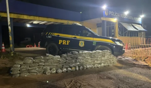 Supermaconha: 201 quilos de skunk são apreendidos na BR-364