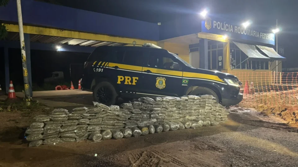 Supermaconha: 201 quilos de skunk são apreendidos na BR-364