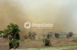 VÍDEO: Incêndio de grandes proporções toma área de mata e assusta moradores em Iranduba
