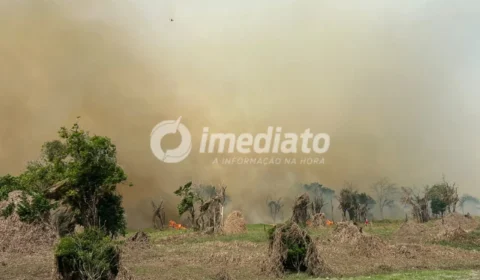 VÍDEO: Incêndio de grandes proporções toma área de mata e assusta moradores em Iranduba