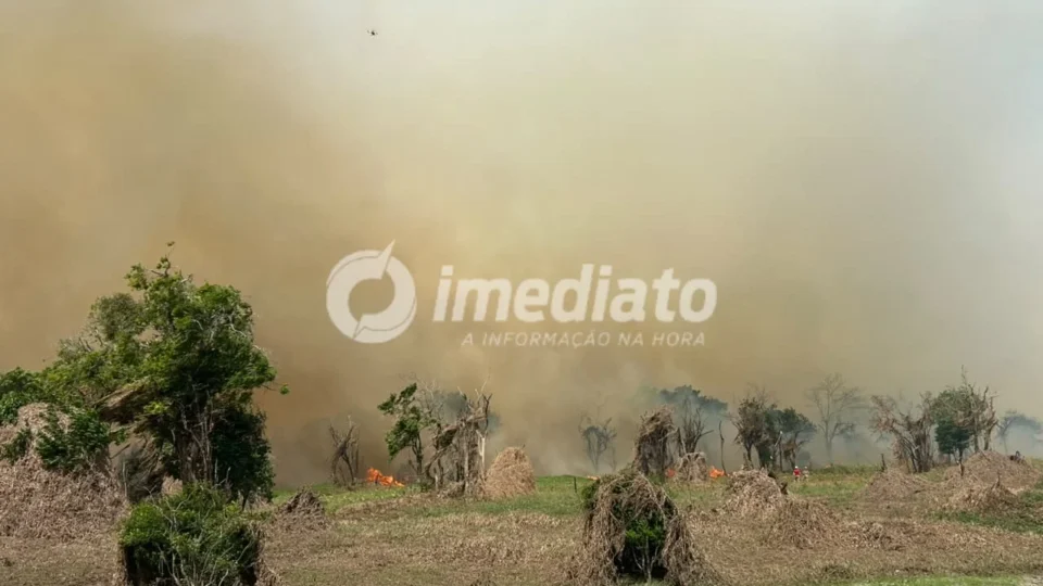 VÍDEO: Incêndio de grandes proporções toma área de mata e assusta moradores em Iranduba
