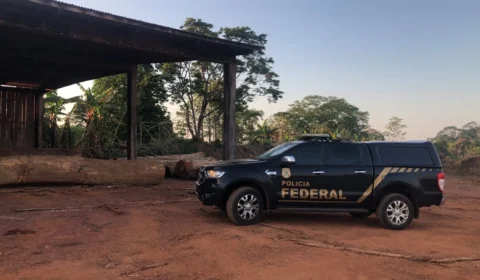 Esquema de exploração ilegal de madeira em terras indígenas em Rondônia é alvo de operação