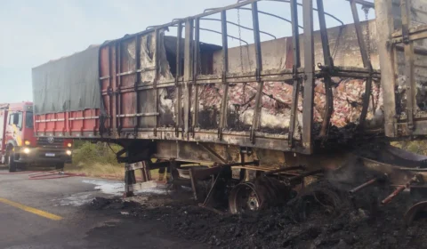 Carreta pega fogo na BR-174 e carga é destruída pelas chamas; veja vídeo