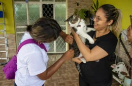 Manaus oferece vacinação antirrábica gratuita para cães e gatos; veja onde imunizar
