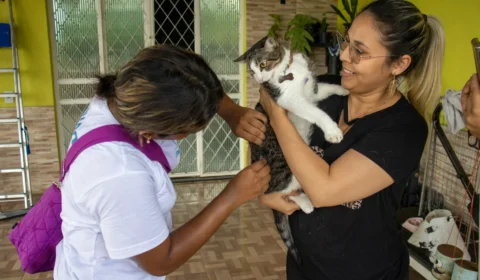 Manaus oferece vacinação antirrábica gratuita para cães e gatos; veja onde imunizar