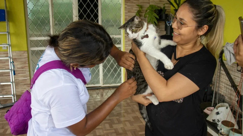 Manaus oferece vacinação antirrábica gratuita para cães e gatos; veja onde imunizar