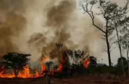 FOGO POR TODA PARTE | Fumaça encobre Autazes e moradores pedem socorro