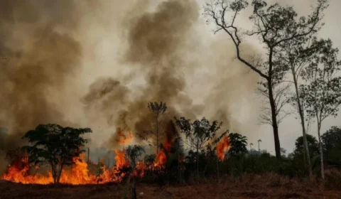 FOGO POR TODA PARTE | Fumaça encobre Autazes e moradores pedem socorro