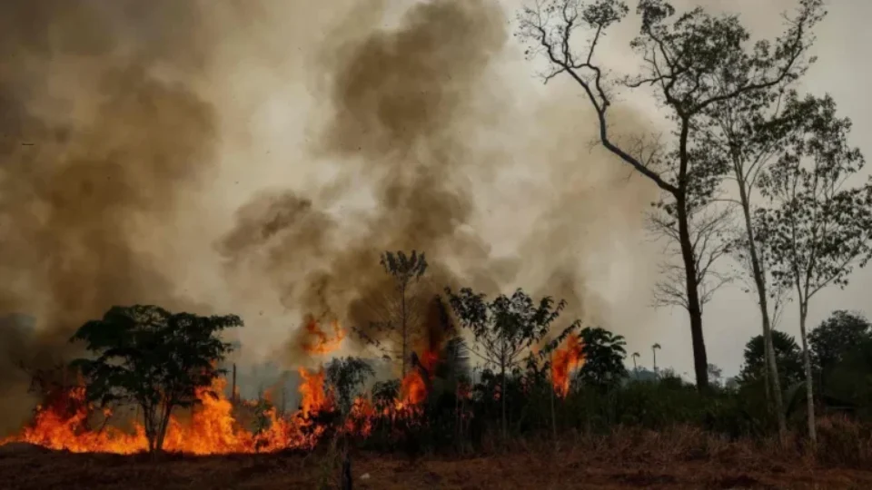 FOGO POR TODA PARTE | Fumaça encobre Autazes e moradores pedem socorro