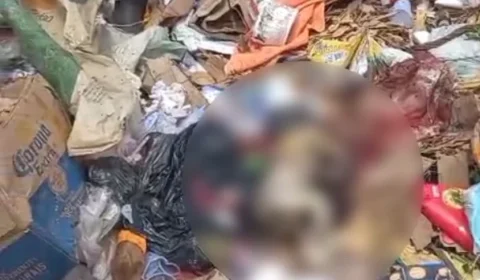 IMAGENS FORTES  | Recém-nascido é encontrado morto em meio ao lixo de lixão no Pará