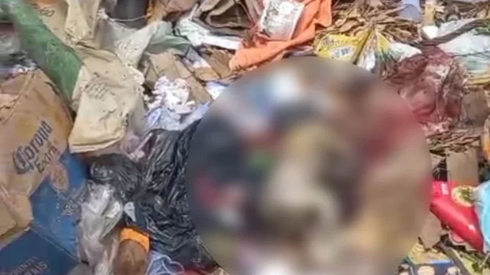 IMAGENS FORTES  | Recém-nascido é encontrado morto em meio ao lixo de lixão no Pará