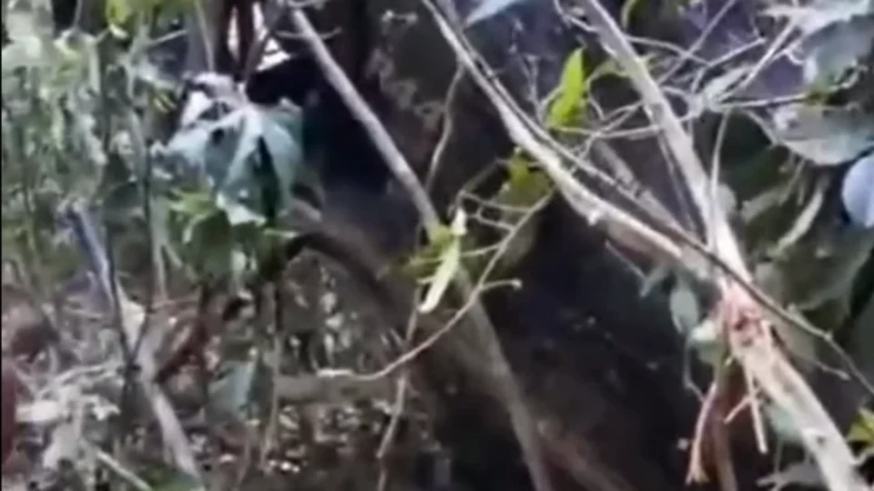 Helicóptero cai na Terra Yanomami após tentativa de pouso de emergência | Veja o video