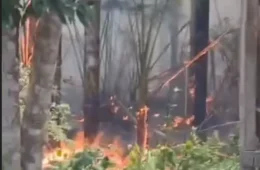 VEJA O VÍDEO | Incêndio ameaça famílias e plantações no Carero da Várzea