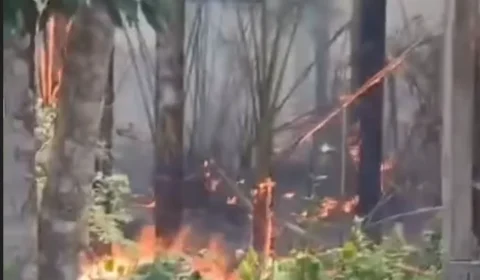 VEJA O VÍDEO | Incêndio ameaça famílias e plantações no Carero da Várzea