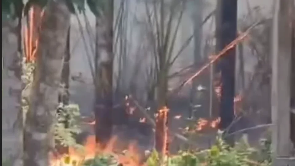 VEJA O VÍDEO | Incêndio ameaça famílias e plantações no Carero da Várzea