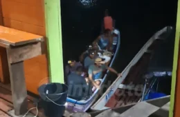 VEJA O VÍDEO | Queimadas em mata forçam ribeirinhos a abandonarem suas casas