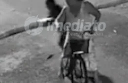 VEJA | Câmeras de segurança flagram mãe e filha abandonando filhotes de gato em caixa