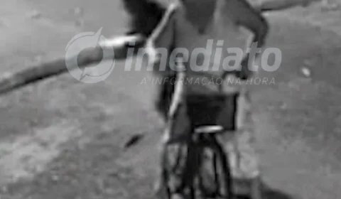 VEJA | Câmeras de segurança flagram mãe e filha abandonando filhotes de gato em caixa