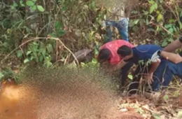 Corpo com mãos amarradas é encontrado em área rural de Pimenta Bueno