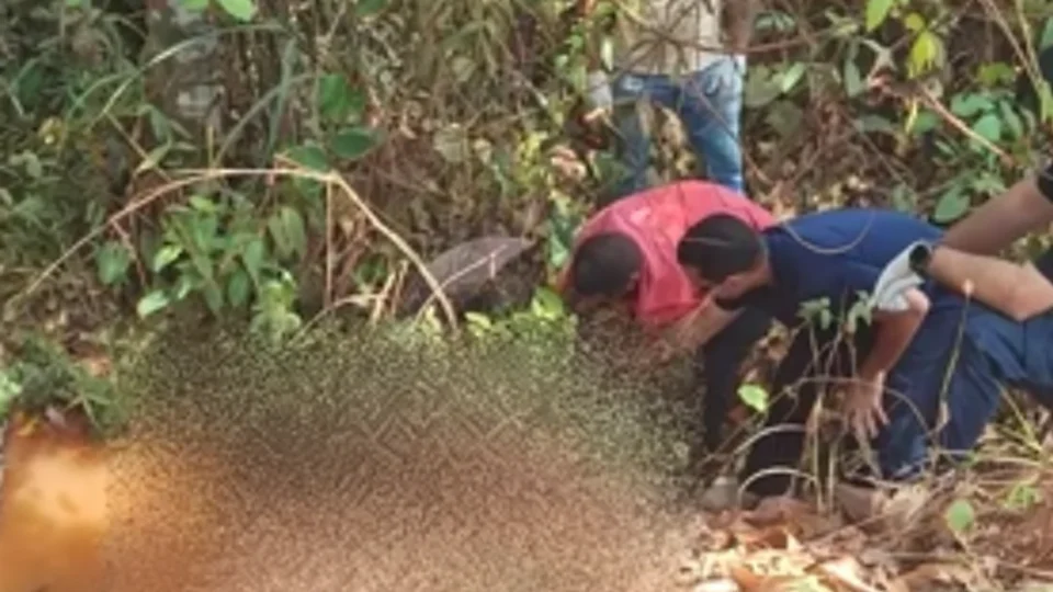 Corpo com mãos amarradas é encontrado em área rural de Pimenta Bueno