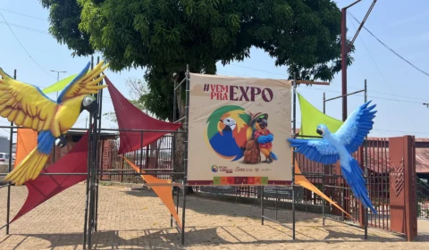 Turismo, cultura e negócios tomam conta da Madeira-Mamoré em Porto Velho