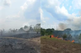 Incêndio ameaça área residencial em comunidade no interior do Amazonas